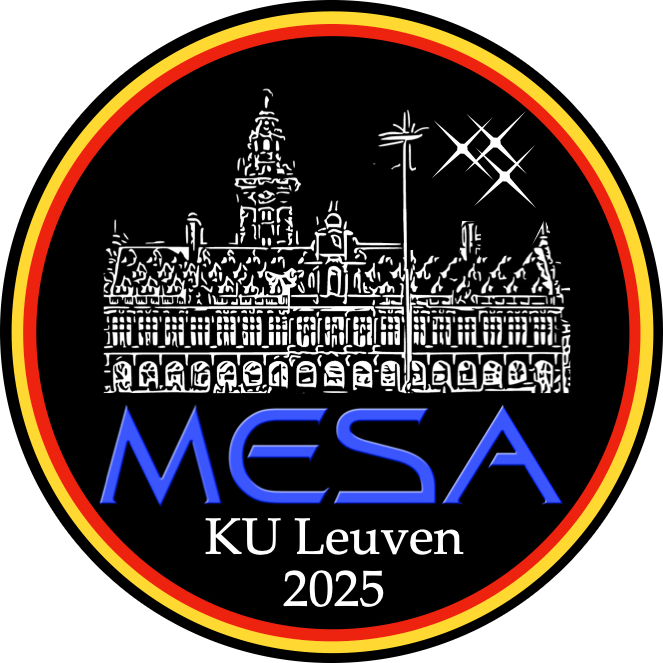 MESA School Leuven 2025